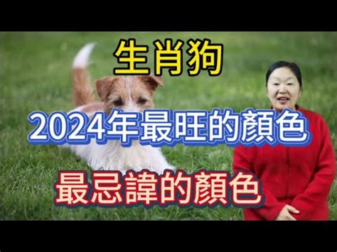 屬狗的顏色|【屬狗的幸運顏色】解開2024屬狗幸運色之謎！提升。